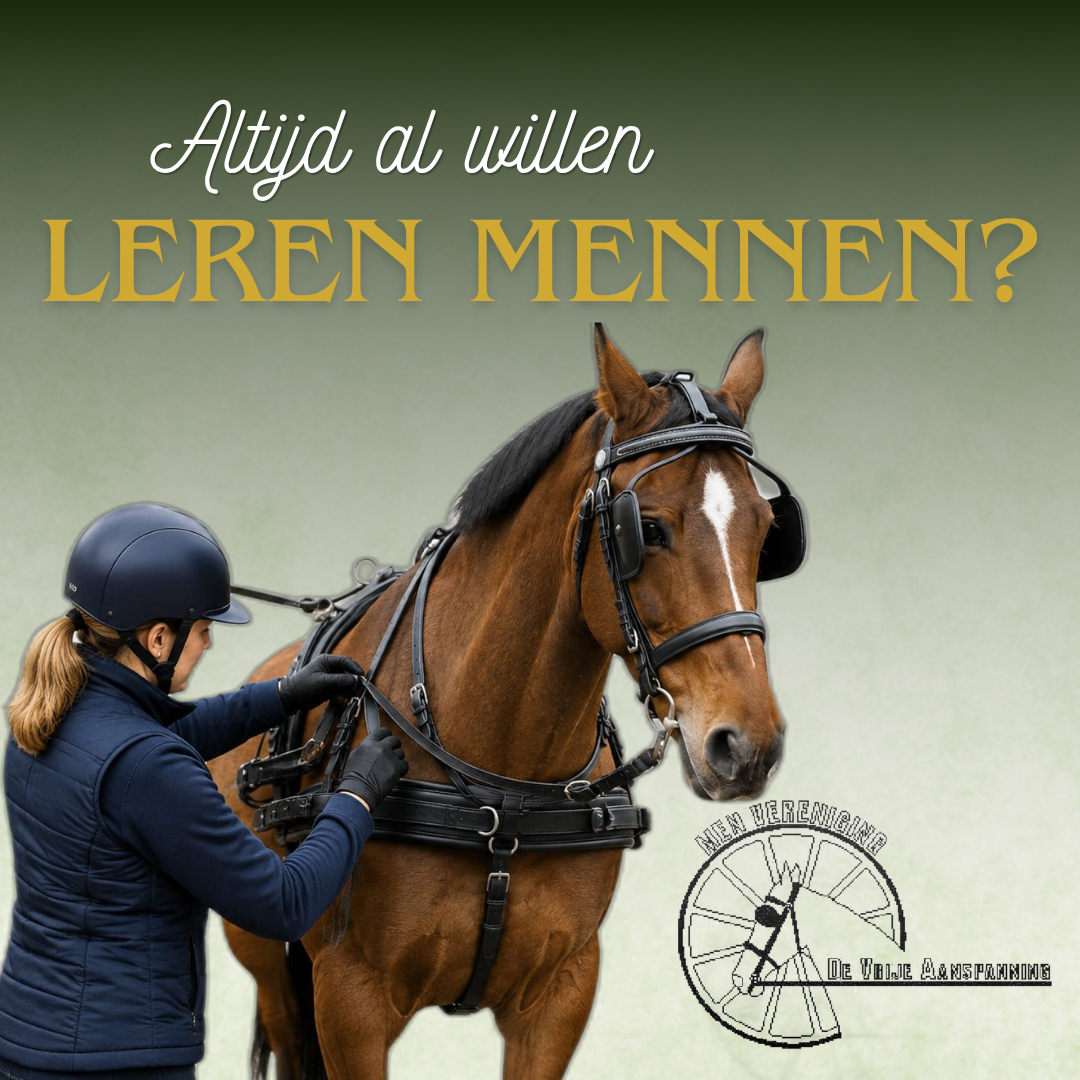 Leren mennen